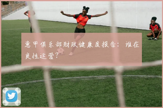 意甲俱乐部财政健康度报告：谁在良性运营？