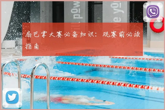 扇巴掌大赛必备知识:观赛前必读指南