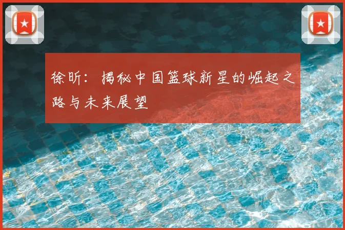 徐昕：揭秘中国篮球新星的崛起之路与未来展望