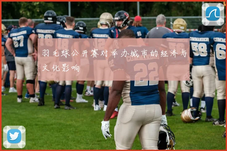 羽毛球公开赛对举办城市的经济与文化影响