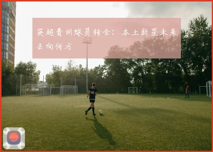 英超青训球员转会：本土新星未来去向何方