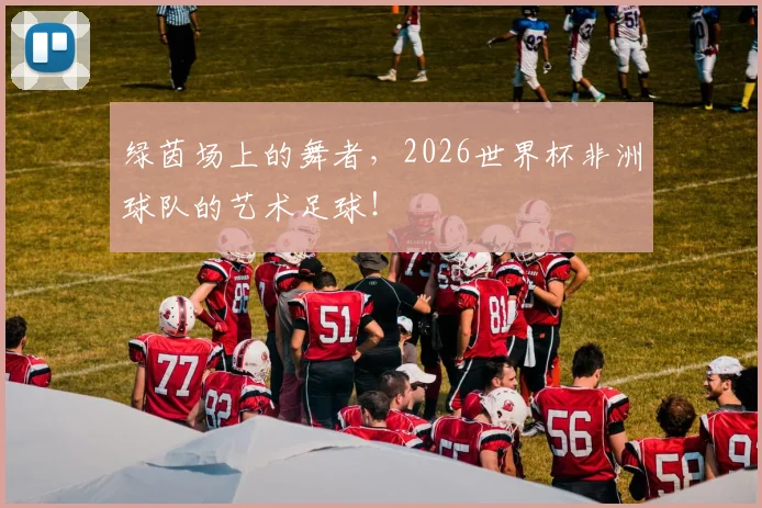 绿茵场上的舞者,2026世界杯非洲球队的艺术足球!