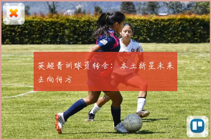 英超青训球员转会：本土新星未来去向何方