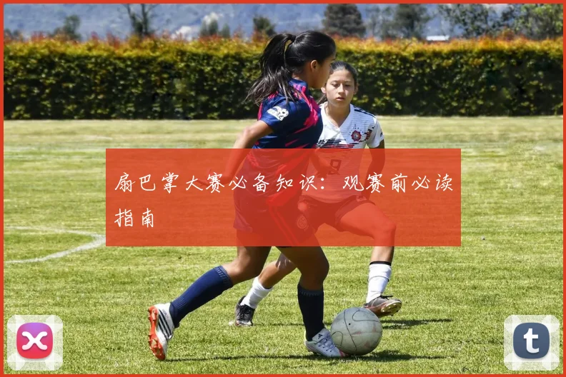 扇巴掌大赛必备知识:观赛前必读指南