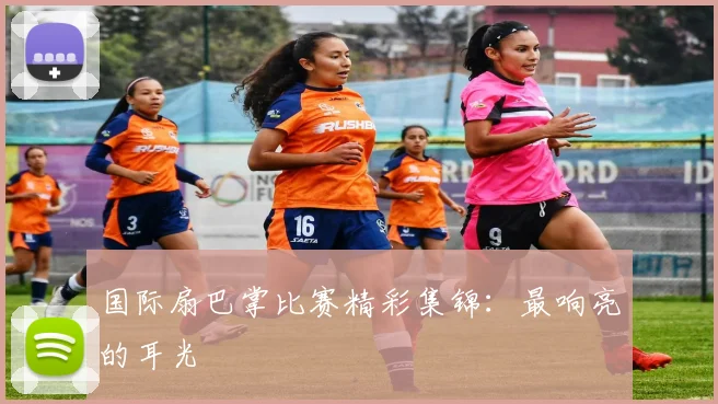国际扇巴掌比赛精彩集锦：最响亮的耳光