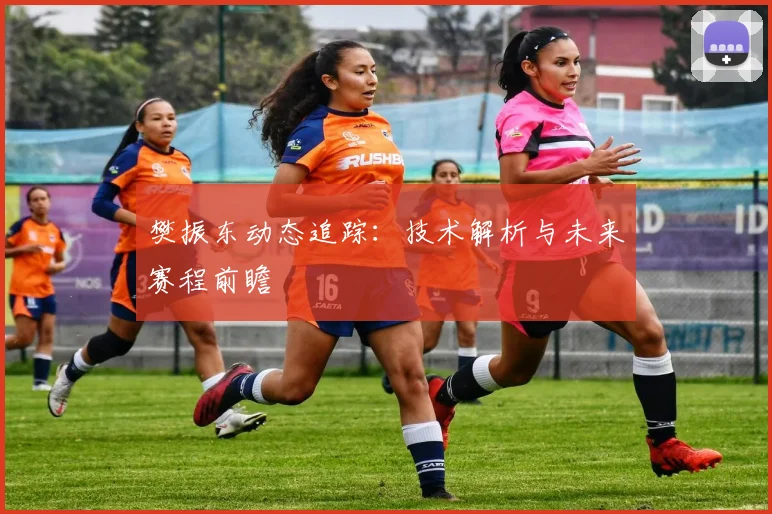 樊振东动态追踪:技术解析与未来赛程前瞻